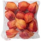 Lampion active 10 Lampionnen