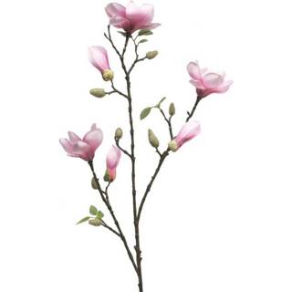 👉 Wit magenta active Magnolia Wit- Fuchsia met bloemen knoppen 85 cm. 7442954889875