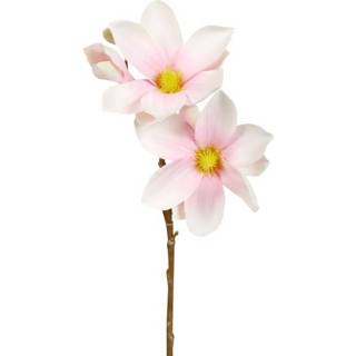 👉 Roze wit active Magnolia - 40 cm 7442954861888