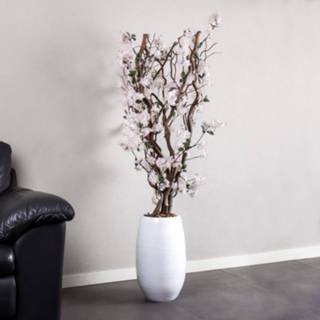 👉 Active witte Bloesem kronkel boom zacht Roze± 140 cm (incl. pot) 7442954893865