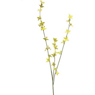 Forsythia geel active 85 cm smal 7442954877810