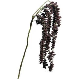 👉 Active Kattenstaart-Amarant Aubergine 105 cm