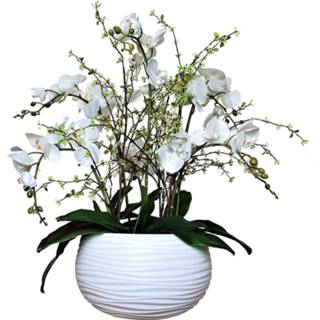 👉 Bloemstuk wit active Orchidee Wit/Groen± 70 cm (incl. pot) 7442954897887