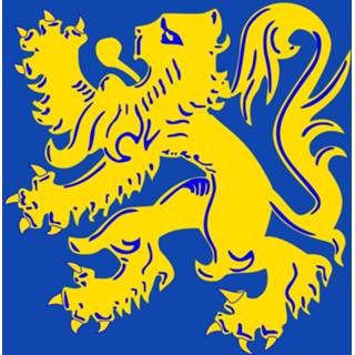 👉 Vlag active Zottegem 100x150 7424950712739