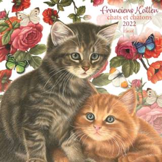 👉 Kalender multi papier Huisdieren/dieren 2022 poezen/katten getekend 30 cm