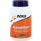 👉 Active NOW Kandillon 90 stuks 733739101495