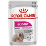 👉 Hondenvoer Royal Canin Exigent Natvoer - 12x85 g 9003579009451