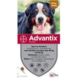 👉 Advantix Spot On 600 6 ml - Anti vlooien en tekenmiddel 4 pip 40-60 Kg 4057598002745