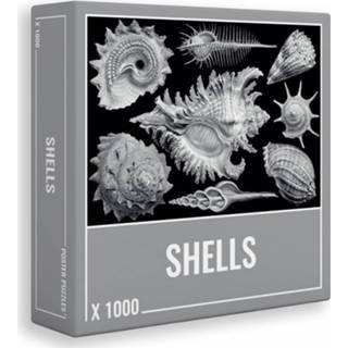 👉 Puzzel legpuzzels Shells (1000 stukjes) 5060602330078