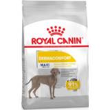 👉 Hondenvoer Royal Canin Dermacomfort Maxi - 3 kg 3182550773850