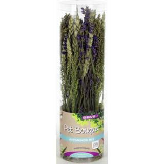 👉 Boeket Esve Pet Bouquet Koker Aves Minor - Vogelsnack 8715001331016