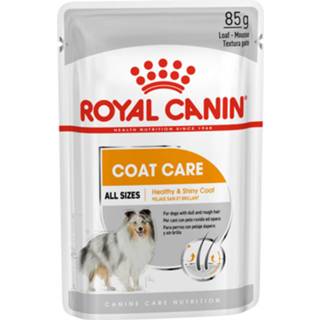 👉 Hondenvoer Royal Canin Coat Care Natvoer - 12x85 g 9003579009413