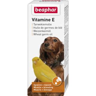 👉 Tarwekiemolie Beaphar Vitamine E - Voedingssupplement Weerstand 100 ml 8711231112180