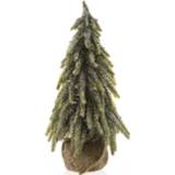 👉 Kerstboom groen Everlands Mini Boom Binnen - Ø12x20 cm Tips 82 8718532425445