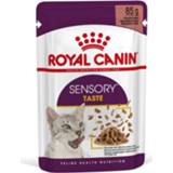 👉 Kattenvoer Royal Canin Sensory Multipack Taste - In Gravy 12x85 g 9003579018859