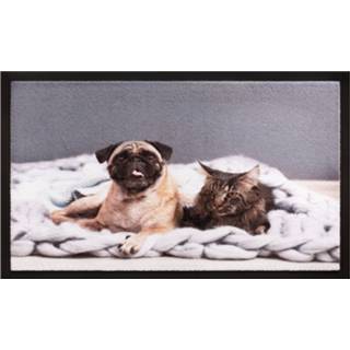 Deurmat Hamat Image Cat & Dog - 40x60 cm Multi-Color 8712088086259