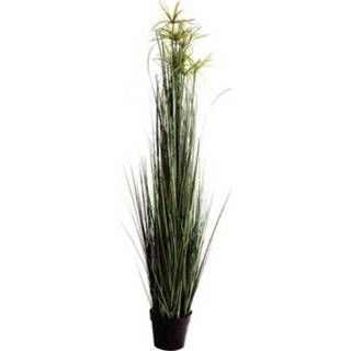 👉 Kunstplant s male Velda papyrusgras vijver maat 8711921247178