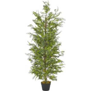 👉 Kunstplant male VidaXL cipresboom + pot 150cm 8719883553368