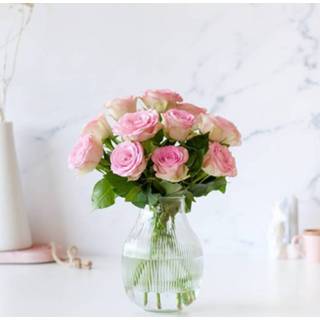 Roze brievenbusrozen
