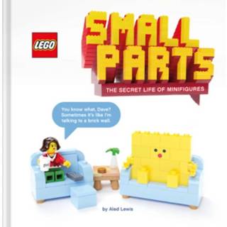 👉 Small Parts: The Secret Life of Minifigures 9781452182254