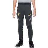 👉 Trainingsbroek polyester male grijs kinderen Nike Liverpool fc 2021-2022 kids