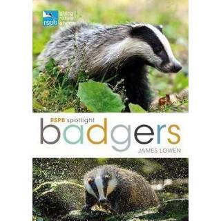 👉 Spotlight engels RSPB Spotlight: Badgers 9781472971746