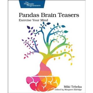 Pandas Brain Teasers engels Engels Pandas Brain Teasers 9781680509014