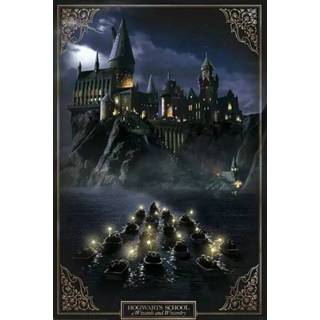 👉 Poster unisex Hoofdmateriaa Papier meerkleurig Harry Potter - Hogwarts Castle 3665361065166