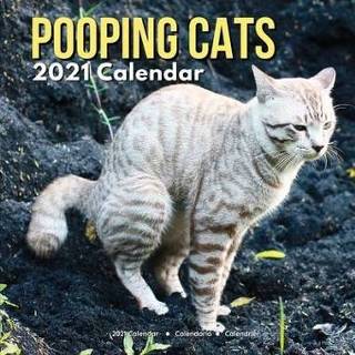 👉 Stuffer engels Pooping Cats Calendar 2021: Funny Animal Lovers Owners Presents for Birthday Christmas Stocking Stuffers Fillers Gifts 9798561657351