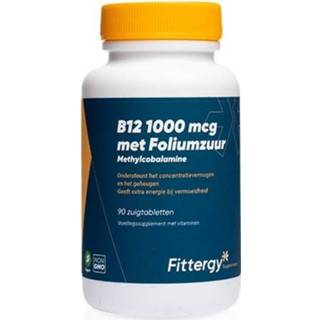 👉 Foliumzuur Fittergy B12 1000mcg Met Tabletten 8718924291207