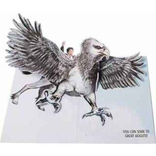 Engels Harry Potter: Buckbeak 9781682985335