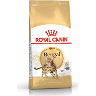 👉 Kattenvoer Royal Canin Bengal Adult - 2 kg 3182550864091