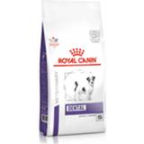 👉 Hondenvoer small Royal Canin Veterinary Diet Dental Special Dog < 10kg - 1.5 kg 3182550925334 3182550723695