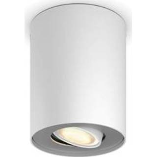 👉 Opbouwspot wit Philips Hue PILLAR WARM - KOELWIT LICHT + Dimmer 8719514338487