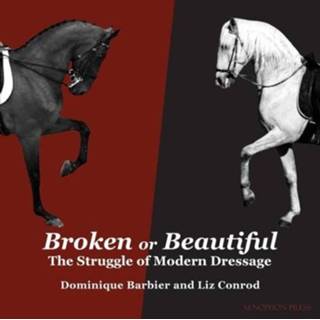 👉 Engels Broken or Beautiful 9781948717281