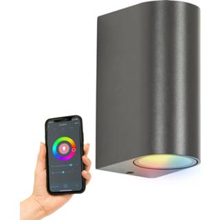 👉 Wandspotje antraciet aluminium Wandspot Flash Up & Downlighter met smart WIFI lichtbronnen