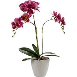 👉 Kunstplant antraciet kunststof Ibergarden Orchidee 8430852552525 8720585198474