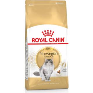 👉 Kattenvoer Royal Canin Norwegian Forest Cat Adult - 2 kg 3182550825399 3182550825405