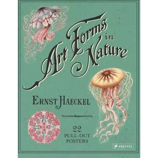 👉 Poster engels Ernst Haeckel: Art Forms in Nature: 22 Pull-Out Posters 9783791382630