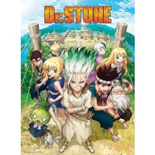 Poster meerkleurig unisex Hoofdmateriaa Papier Dr. Stone - Group 3665361055877