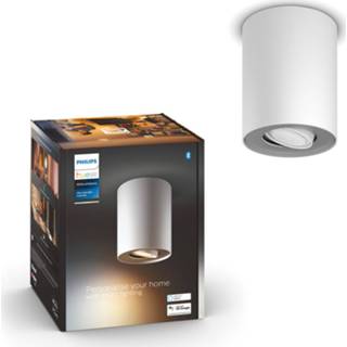 👉 Opbouwspot wit Philips Hue Pillar GU10 5W met Dimmer switch 8719514338500
