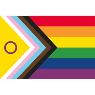 👉 Vlag active Intersekse Progress 100x150cm 7424949589571