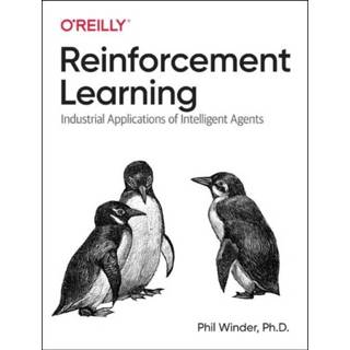 👉 Engels Reinforcement Learning 9781098114831