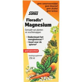 👉 Magnesium Salus Floradix 4004148318399