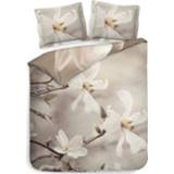 👉 Dekbedovertrek katoen satijn Heckett Lane Lia - Morning Natural 200x200/220cm 8718518275217