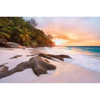 👉 Komar Nature Vlies Fotobehang 368x248cm