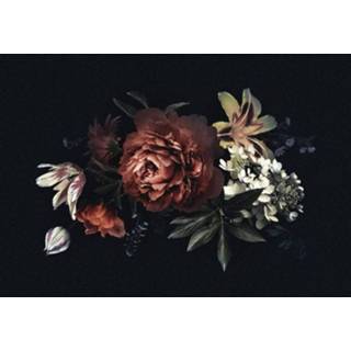 👉 Boeket Wizard+genius Flower Bouquet Fotobehang 366x254cm 8-banen 4063129056880