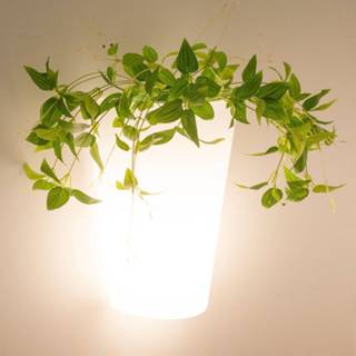 👉 Buiten wandlamp polyethyleen wit a++ santolaria Buitenwandlamp Teja - een lichtgevende plantenbak