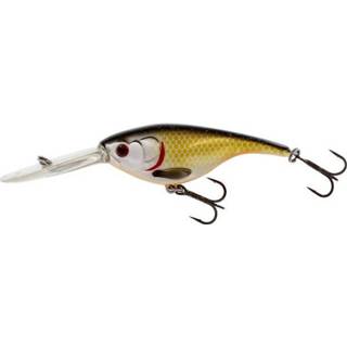 👉 Goud baby's Westin BabyBite DR Crankbait - Floating Official Roach 6.5cm 13g 5707549415177