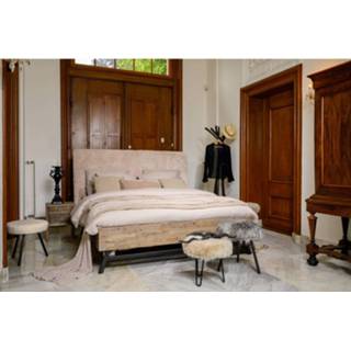 👉 Ledikant active Teddy